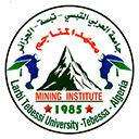 Mining Institute 